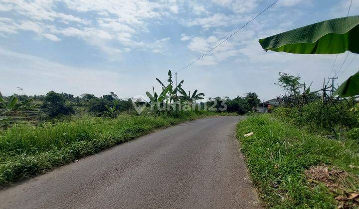 Tanah Murah Dramaga Bogor Cocok Bangun Hunian. 1