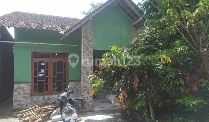 Rumah Kondisi 90%, Murah Lokasi Utara Kantor Kepala Desa Mayang