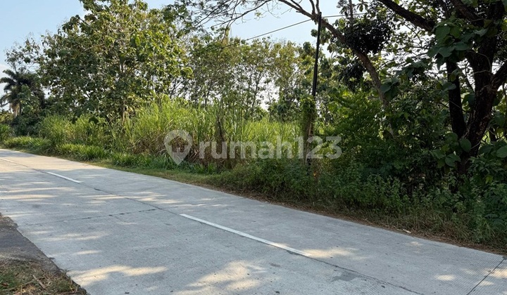 Land facing the provincial road only 6 minutes to Sragen Timur Toll Gate.