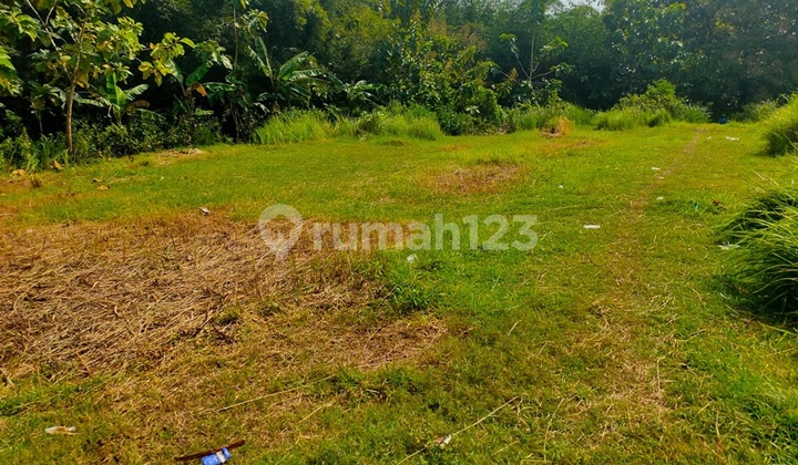 Tanah Kavling Zona Industri Dekat Pabrik Sonice Boyolali 1