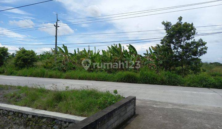 Tanah Zona Kuning di Jalan Raya Pakis Daleman 1