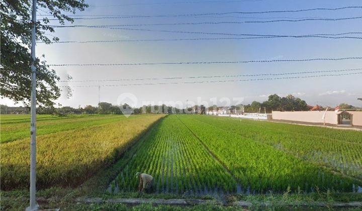 Industrial Warehouse Zone Land on Jl. Raya Pakis Wonosari Klaten