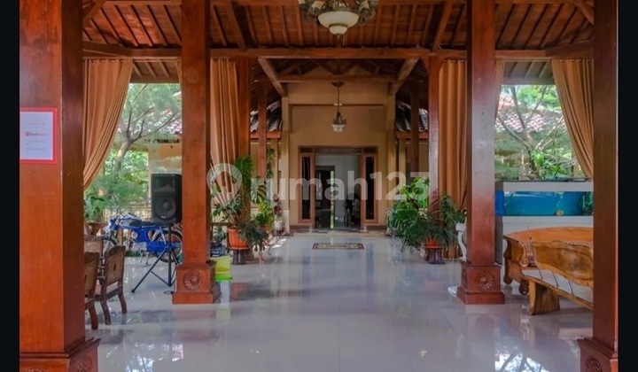 Homestay Dekat Kawasan Wisata Sleman Jogja Homestay Dekat Kawasan Wisata Sleman Jogja