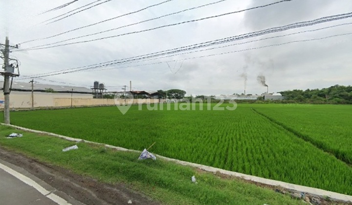Land on the side of Pandeyan Highway, Sukoharjo red zone Land on the side of Pandeyan Highway, Sukoharjo red zone