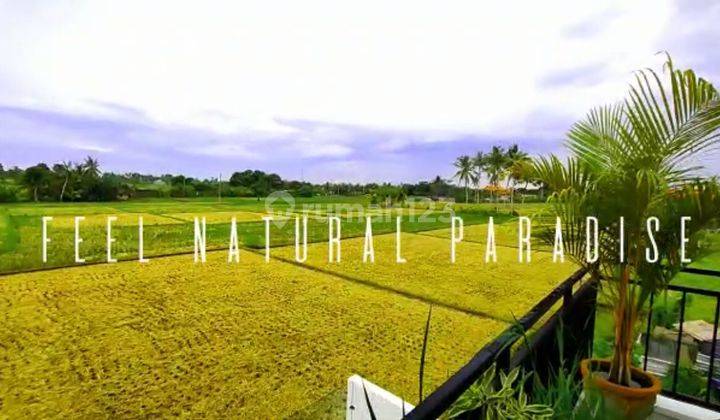 Brand New House With Ricefield View In Beraban Near Tanah Lot 2