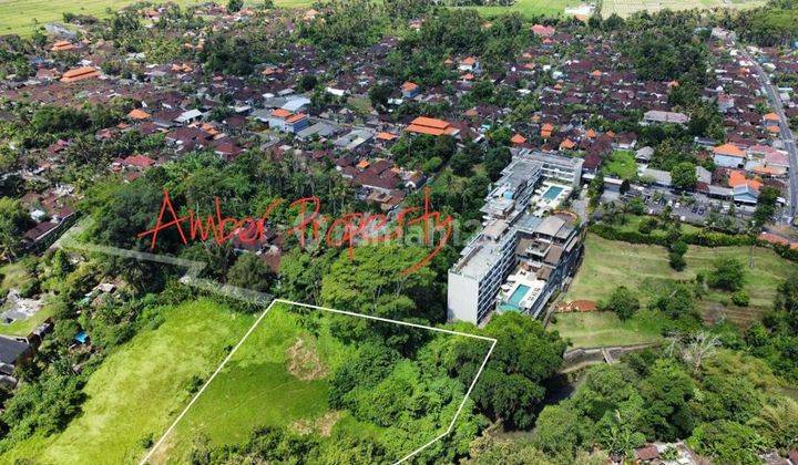 RIVER AND JUNGLE VIEW LAND IN LODTUNDUH 20 MINUTE FROM UBUD CENTER 2