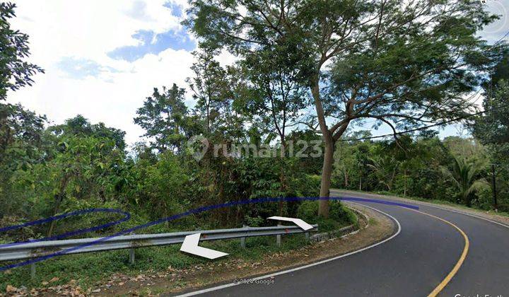 DIJUAL TANAH 5000 M2 DI KAKI GUNUNG RINJANI 1