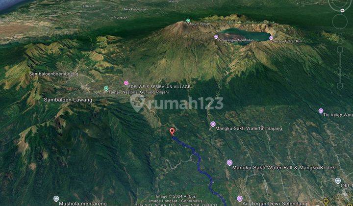 DIJUAL TANAH 5000 M2 DI KAKI GUNUNG RINJANI 2