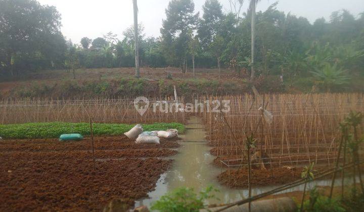 Tanah Luas Kebun Pertanian Hunian Perdana Investasi Menarik Legal SHM 1