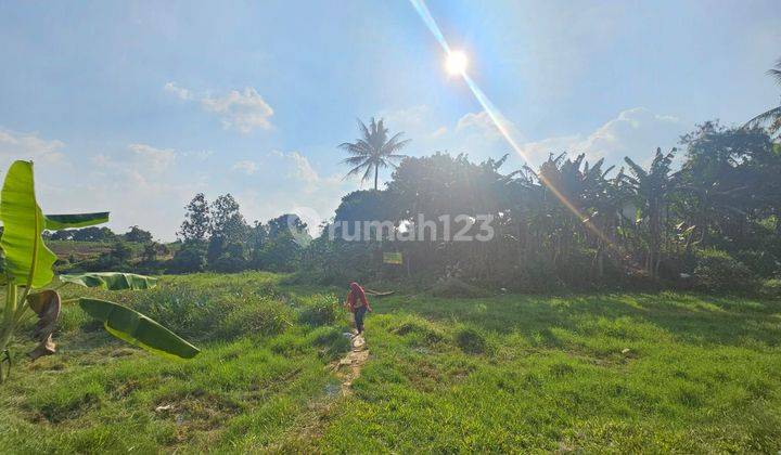 Tanah Kebun Tanaman 3000 Meter Cukup Marketable Pura Bojonggede Dekat 2