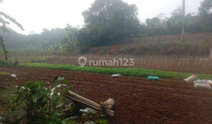 Tanah Luas Kebun Pertanian Hunian Perdana Investasi Menarik Legal SHM 2