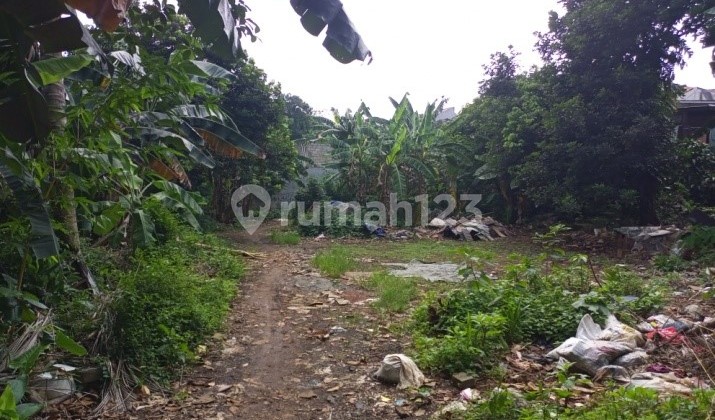 Dijual Cepat Tanah Di Jl Manggis Ciganjur Jakarta Selatan Dekat Dari Jalan Andara Dan Akses Tol 1