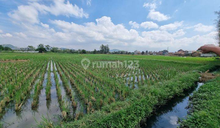 Tanah Luas Lokasi Strategis Dekat Tol di Cigondewah Hilir 7