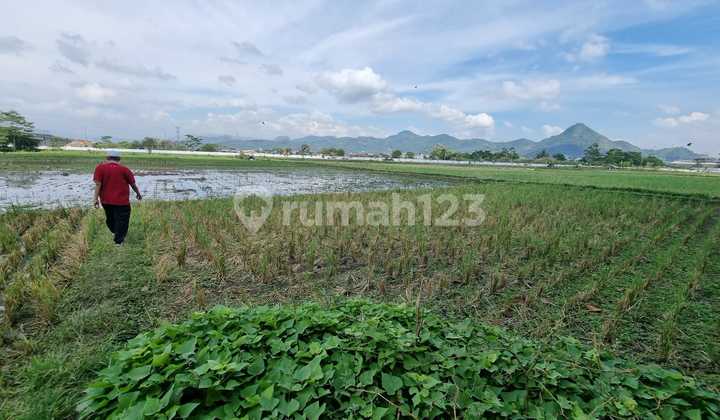 Tanah Luas Lokasi Strategis Dekat Tol di Cigondewah Hilir 9