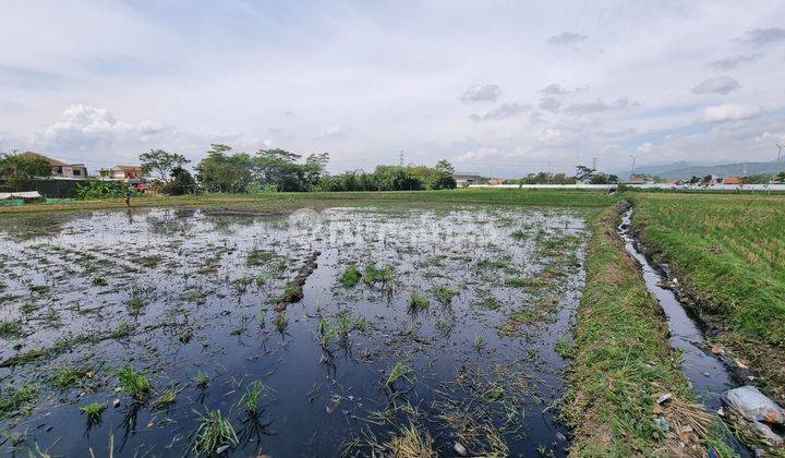 Tanah Luas Lokasi Strategis Dekat Tol di Cigondewah Hilir 10