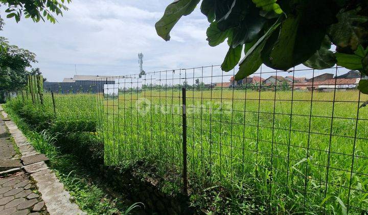 Tanah Luas Tengah Kota di Pelindung Hewan, Sayap Bkr 3