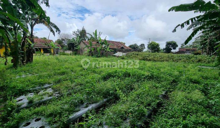 Tanah Mainroad Strategis di Kolonel Masturi 2