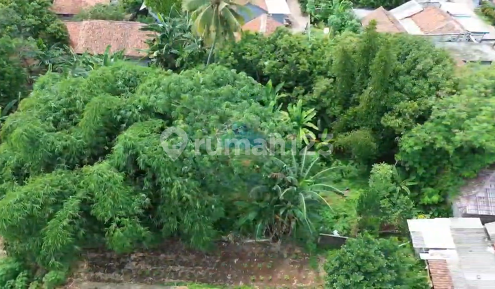 Jual Tanah di Kp Kandang, Mekarwangi, Cisauk Tangerang. Jual Tanah di Kp Kandang, Mekarwangi, Cisauk Tangerang.