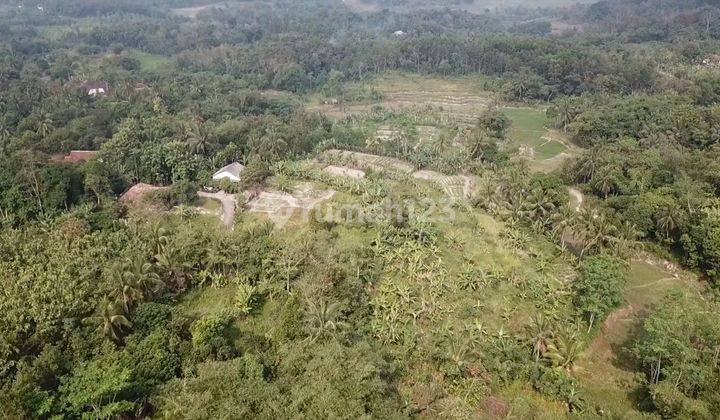 Jual Tanah Di Sindang Mulya, Maja Rangkas Bitung, Lebak 2