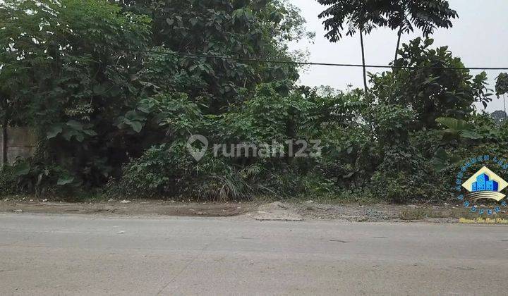 Jual Tanah Di Jalan Raya Maloko Dangdang, Cisauk Tangerang 2