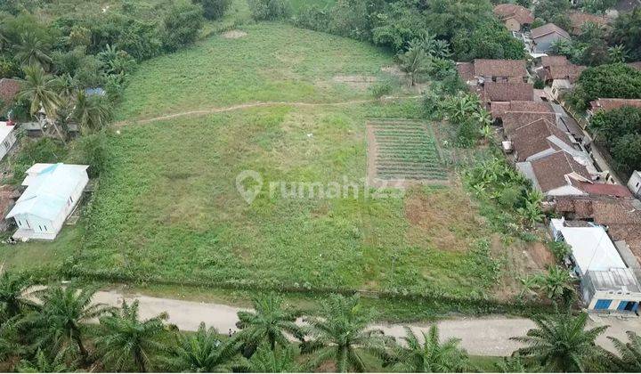 Jual Tanah Di Desa Tutul, Maja Rangkas Bitung, Lebak, Banten 1