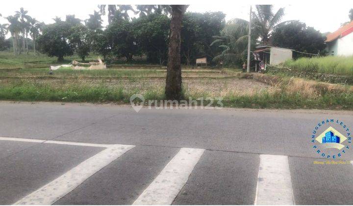 Jual Tanah Di Jalan Raya Kutruk, Tigaraksa Tangerang, Banten 2