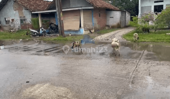 Sewa Gudang di Ciangir, Legok, Tangerang Banten 1