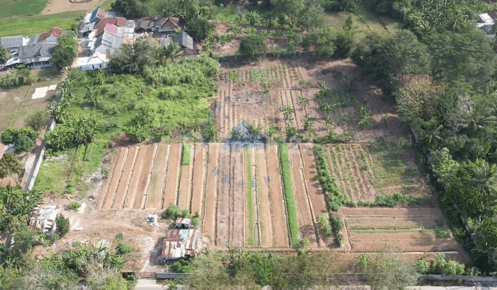 Jual Tanah di Desa Bandung, Cikande, Serang Banten 2