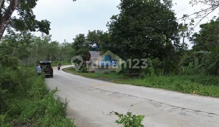 Jual Tanah di Jl Raya Sampay, Cileles, Lebak - Banten.