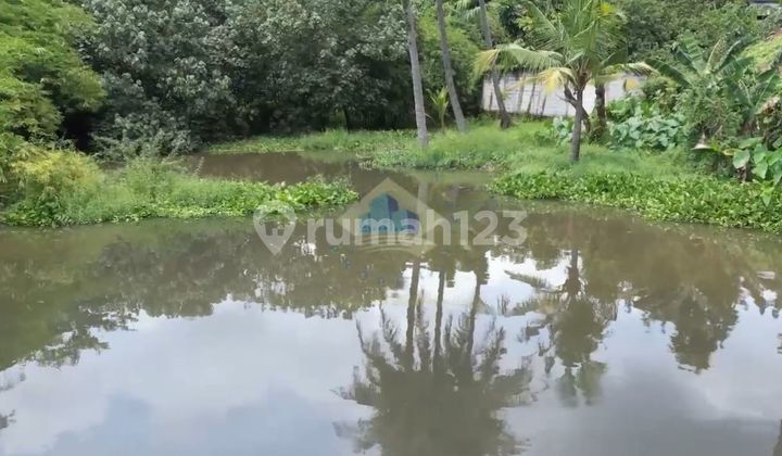 Jual Tanah di Asem, Jalan Raya Serang-Jakarta, Cikande, Serang, Banten Jual Tanah di Asem, Jalan Raya Serang-Jakarta, Cikande, Serang, Banten