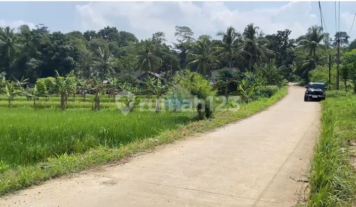 For Sale Land in Kemuning Village, Tunjung Teja - Serang, Banten For Sale Land in Kemuning Village, Tunjung Teja - Serang, Banten