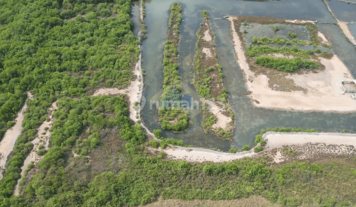 Jual Tanah di Jl Raya Bojonegara, Serang Banten 2