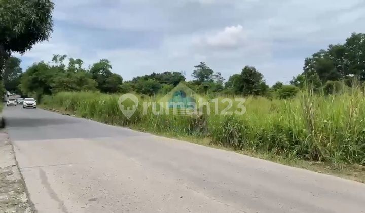 Jual Tanah di Jalan raya singabangsa, Tenjo - Bogor, Jawa Barat 1