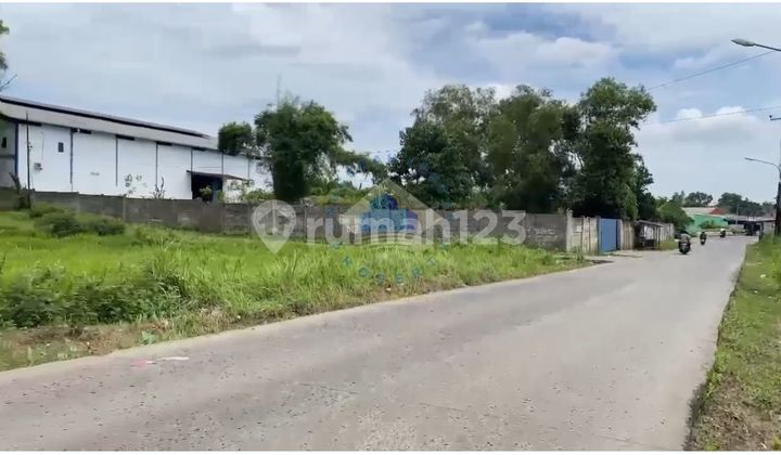 Jual Tanah di Jalan raya singabangsa, Tenjo - Bogor, Jawa Barat 2