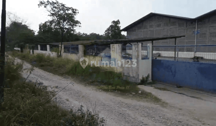 Sewa Pabrik di Kawasan Industri Pancatama, Cikande Serang, Banten  2