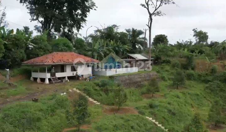 Jual Tanah Perkebunan di Jalan Raya Jasinga, Kabupaten Bogor - Jawa Barat