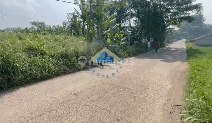 Sewa Tanah di Jl Raya Curug Mekarjaya Rancakebo Tangerang 2