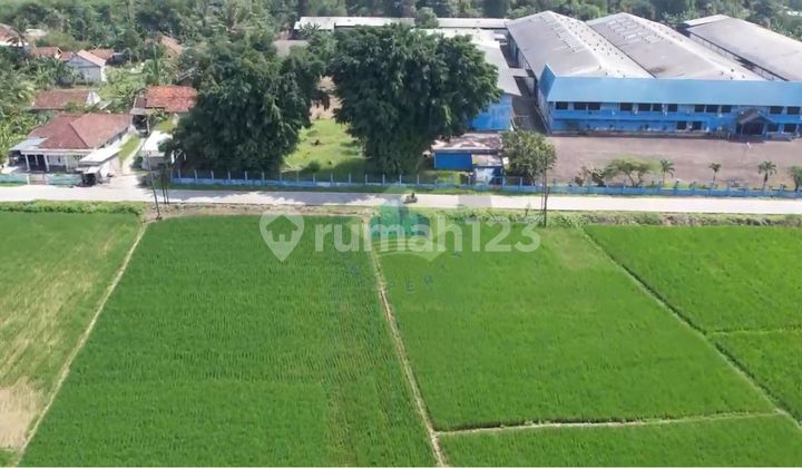 Jual Tanah di Desa Gabus, Kopo, Serang - Banten.