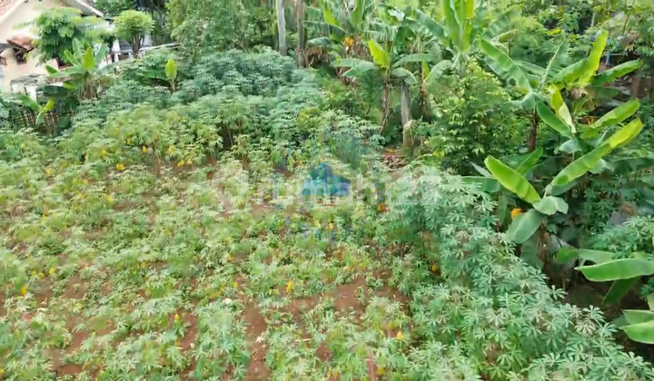 Jual Tanah di Cibogo, Cisauk, Tangerang Banten Jual Tanah di Cibogo, Cisauk, Tangerang Banten