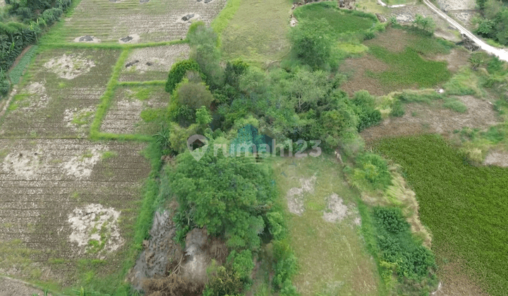 Tanah di Desa Pangkat, Jayanti, Tangerang Banten 1