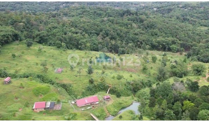 Jual Tanah Perkebunan dan Peternakan di Wirajaya, Jasinga, Bogor - Jawa barat