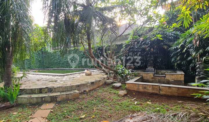 Rumah Asri Dan Terawat Area Pejaten Barat 5