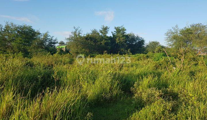 J1794-dp Tanah 27.000 M2 Jalan Raya Purwodadi Grobogan 2