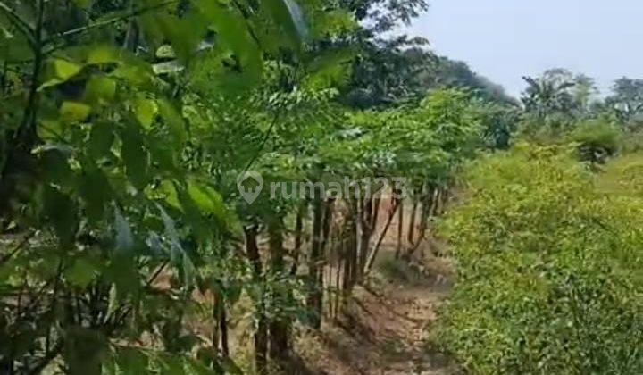 Tanah Untuk Bangun Cluster Atau Usaha Serta Gudang Pinggir Jalan Raya Dekat Gerbang Tol Gabus Tambun Utara 1