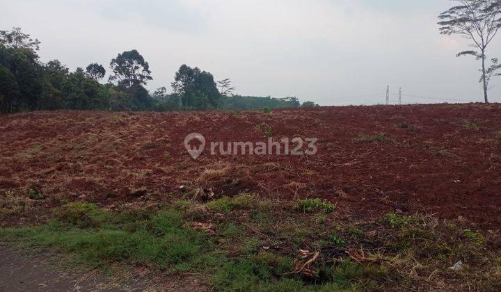 Tanah Untuk Industri Dan Gudang Zona Industri Kota Tulis Kabupaten Batang 1