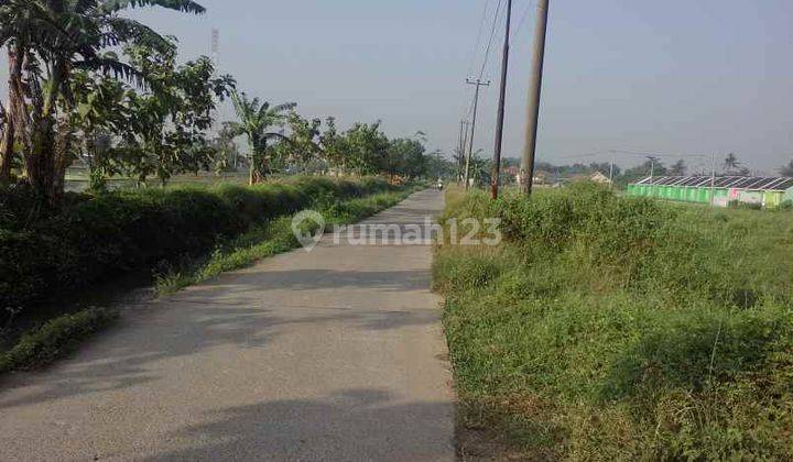 Tanah Kavling Kencana Strategis dekat Gerbang Tol Gabus Tambun Utara 2
