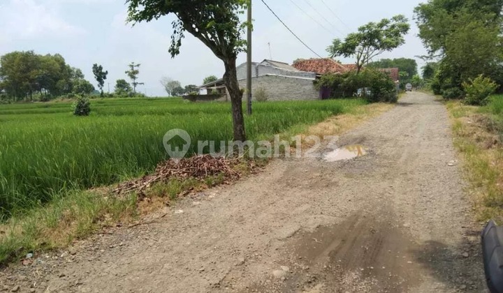 Tanah Pinggir Jalan Desa Padaasih Cocok Peruntukan Industri Dan Gudang
