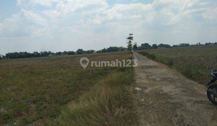 Tanah Untuk Kandang Ayam Dan Peretanian Pinggir Jalan Blok Ampera 1