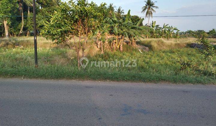 Tanah Pinggir Jalan Sanca Strategis Untuk Usaha Industri Atau Gudang 1