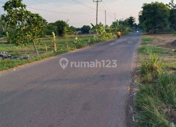 Tanah Pinggir Jalan Sanca Strategis Untuk Usaha Industri Atau Gudang 2